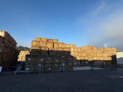 いわき市に来ています！